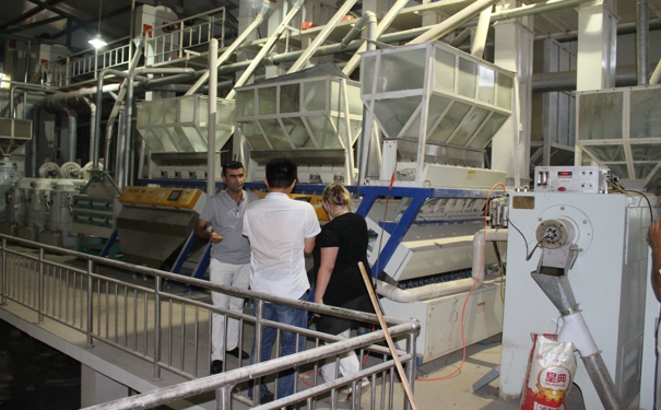 碾米成套設備 碾米成套設備